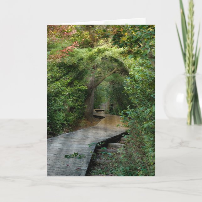 Forest Sunbeams for Sympathy  Card (Front)