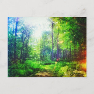 FOREST SUNCOLORS POSTCARD