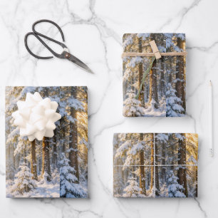 Forest Sunlight • Wrapping Paper Sheets • Set of 3