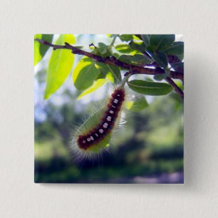 Forest Tent Caterpillar 1 Button