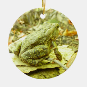 Forest Toad Ceramic Tree Decoration