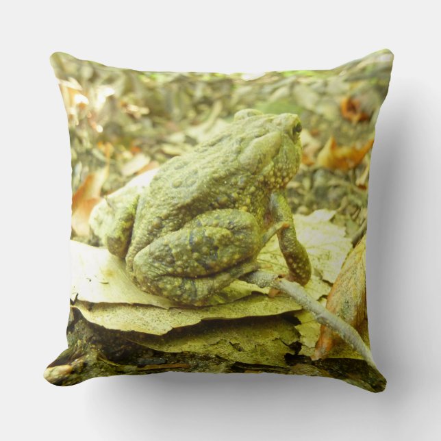 Forest Toad Cushion (Front)