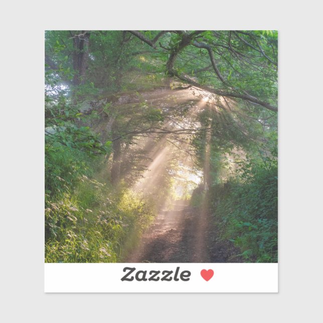 Forest trail (Sheet)