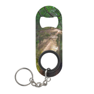 Forest trail