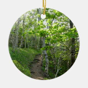 Forest Trail at Acadia National Park Ceramic Tree Decoration