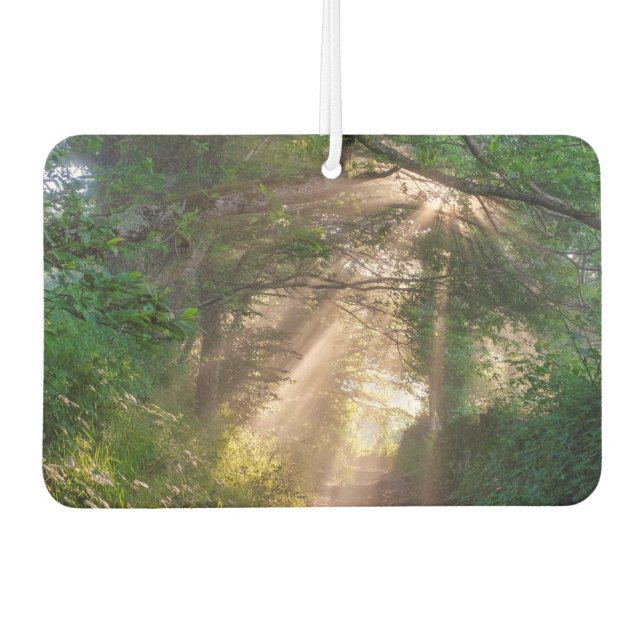 Forest trail car air freshener (Front)