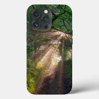 Forest trail iPhone 13 pro case