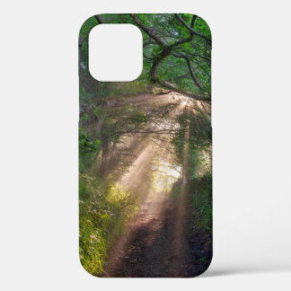 Forest trail iPhone 12 case