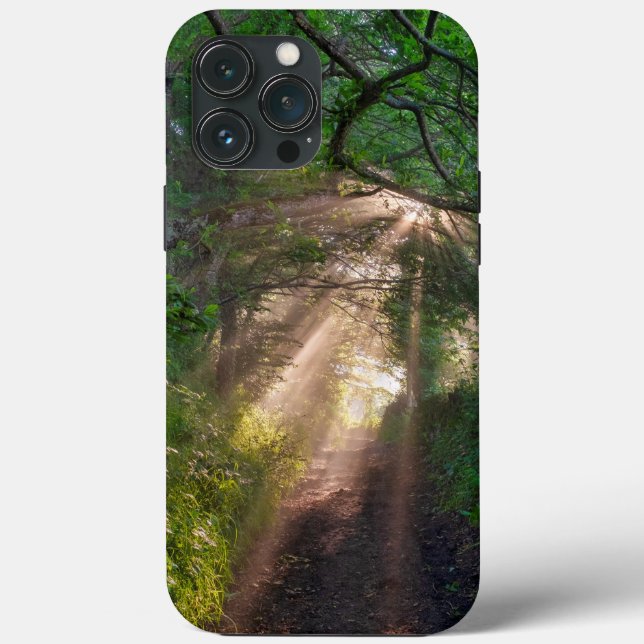 Forest trail Case-Mate iPhone case (Back)