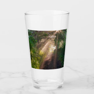 Forest trail glass