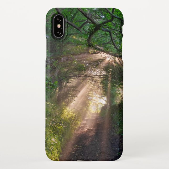 Forest trail iPhone case (Back)