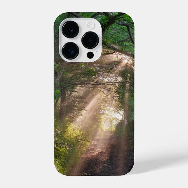 Forest trail iPhone case (Back)