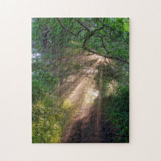 Forest trail jigsaw puzzle
