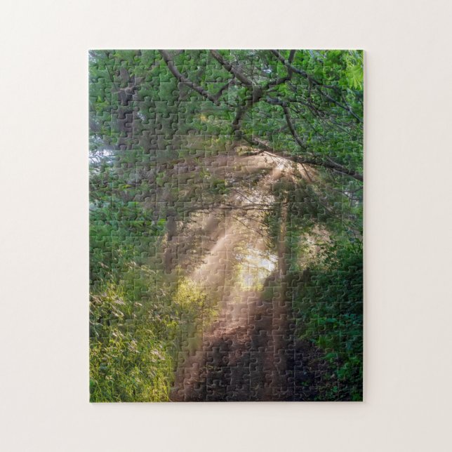 Forest trail jigsaw puzzle (Vertical)