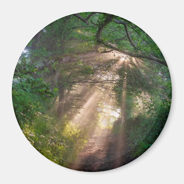 Forest trail magnet (Front)