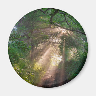 Forest trail magnet