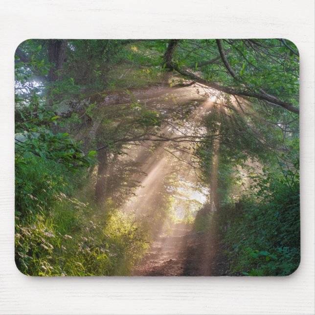 Forest trail mouse mat (Front)