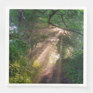 Forest trail napkin
