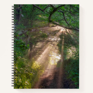 Forest trail notebook
