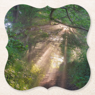 Forest trail paper coaster