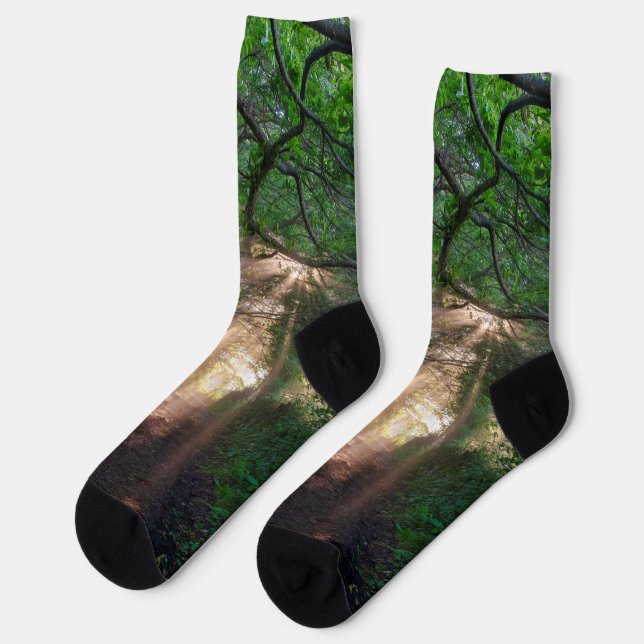 Forest trail socks (Left)