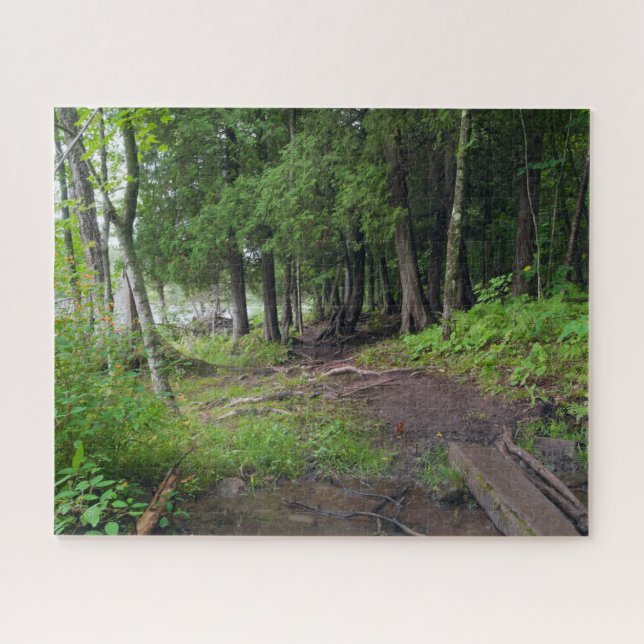 Forest Trail Through Jay Cooke Park Jigsaw Puzzle (Horizontal)