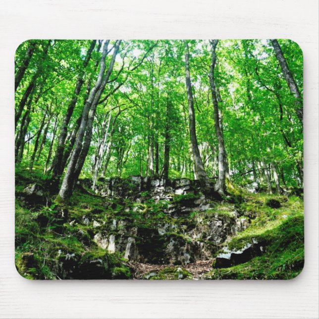 Forest Trails Walking in Wales Neath Valley Mouse Mat (Front)
