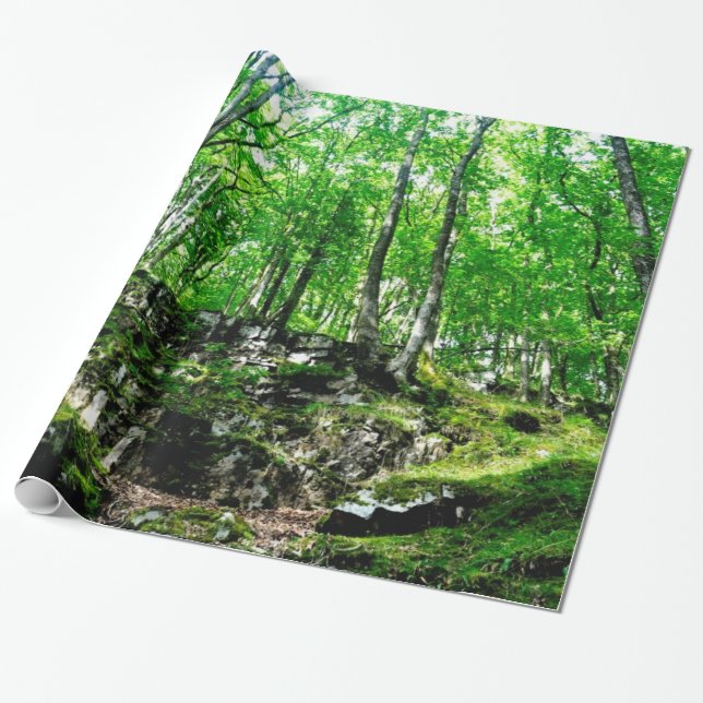 Forest Trails Walking in Wales Neath Valley Wrapping Paper (Unrolled)