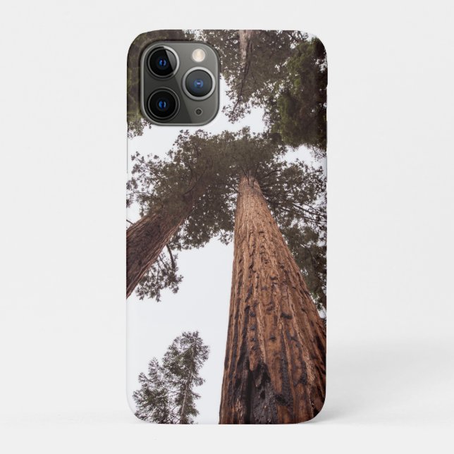 forest, tree Case-Mate iPhone case (Back)
