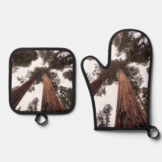 forest, tree oven mitt & pot holder set (Front)