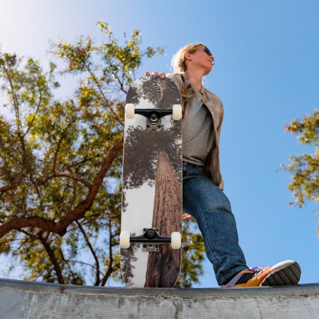 forest, tree skateboard (Outdoor 1)