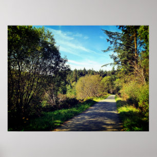 Forest Trees along walking path Gorgeous day Poste Poster