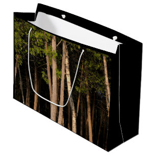 Forest Trees During Sunset Large Gift Bag