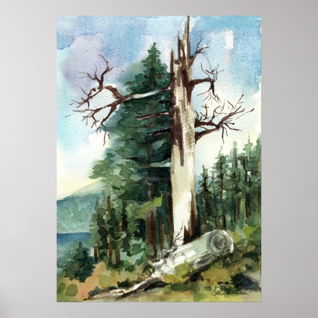 Forest Trees Hiking Trail Mountain View Poster (Front)
