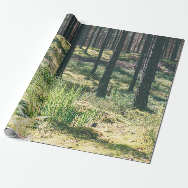 Forest trees. nature green wood sunlight backgroun wrapping paper (Unrolled)