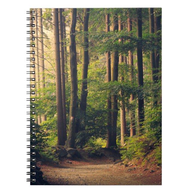 FOREST TREES NOTEBOOK (Front)