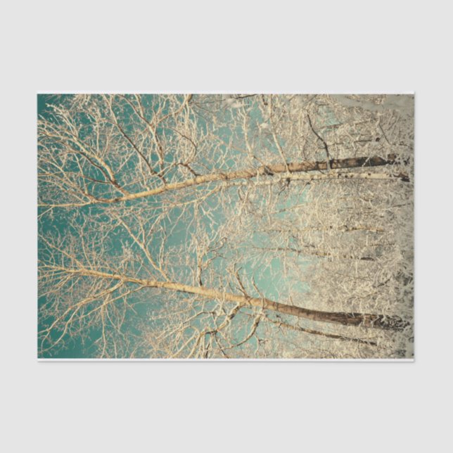 Forest Trees Teal Sky Winter Woodland Tissue Paper (Front)