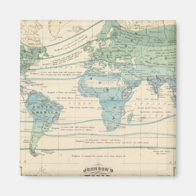 Forest Trees, Useful Plants, and Minerals Magnet (Front)