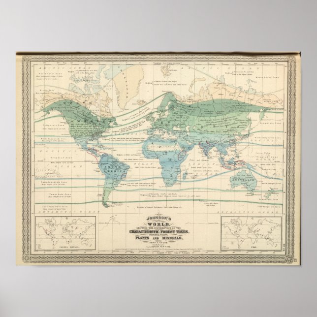 Forest Trees, Useful Plants, and Minerals Poster (Front)