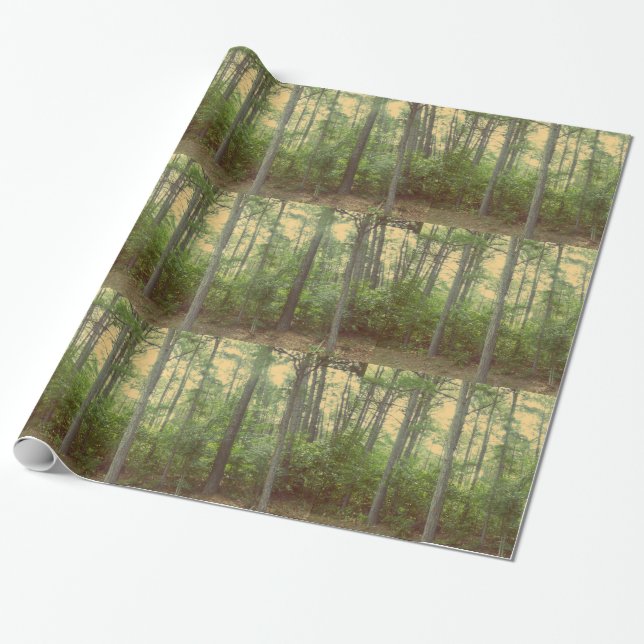 Forest Trees wrapping paper (Unrolled)