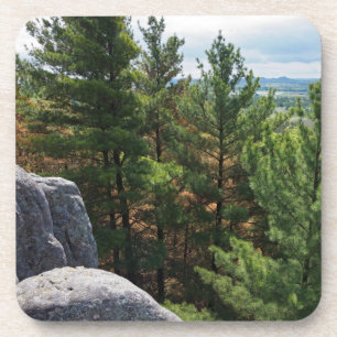 Forest Valley Overlook at Castle Mound Coaster