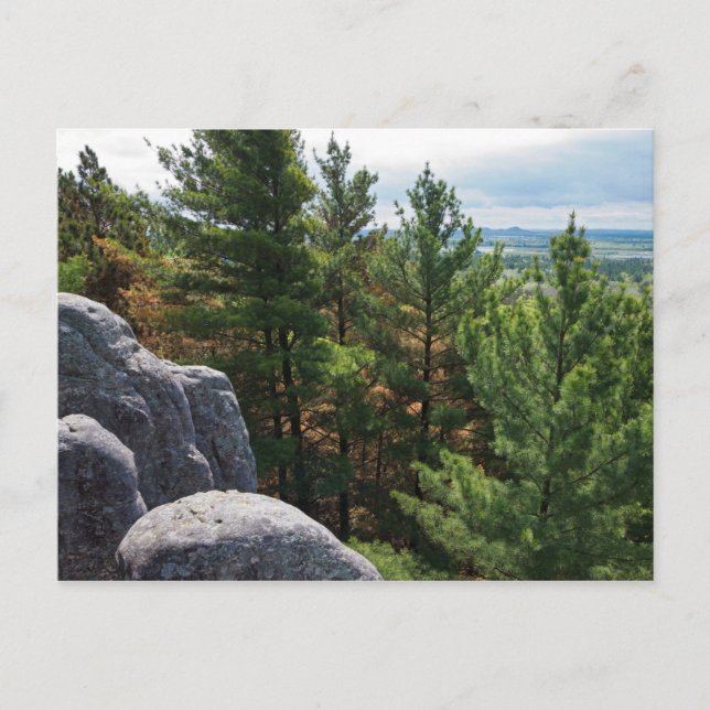 Forest Valley Overlook at Castle Mound Postcard (Front)