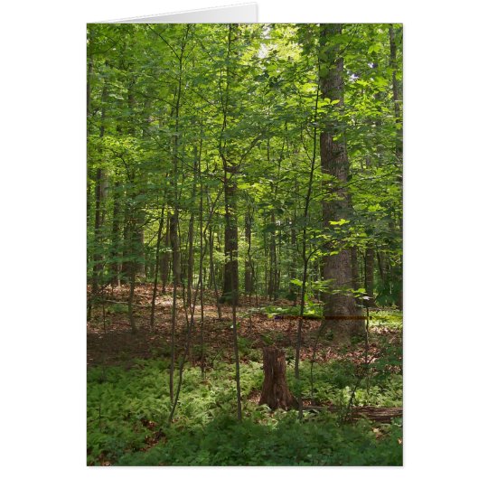 Forest Walk Card