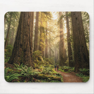Forest Walk Mouse Mat