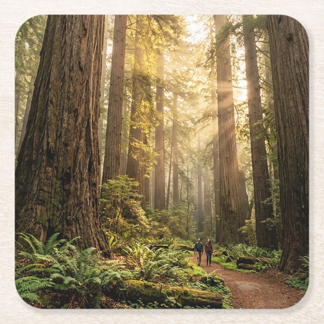 Forest Walk Square Paper Coaster (Front)