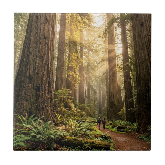 Forest Walk Tile (Front)