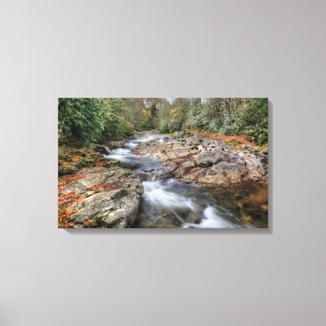 Forest Waterfall Canvas Print (Front)