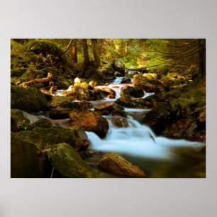 Forest Waterfall Poster