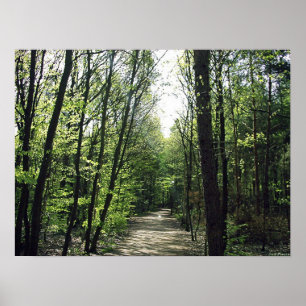 Forest Way Poster