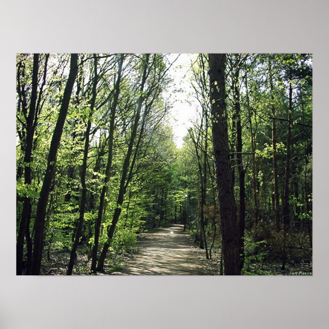 Forest Way Poster (Front)